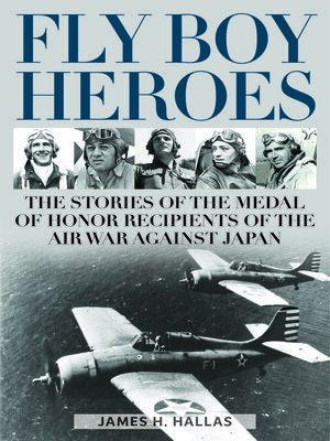 cover image of Fly Boy Heroes
